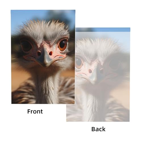 Cute Ostrich Backdrop Background for Photography 5x7ft Photobooth Professional Photo Backdrop Curtains Video Photography Studio Photo Backgrounds Banner Booth Background Screen Parties - color: Cute Ostrich