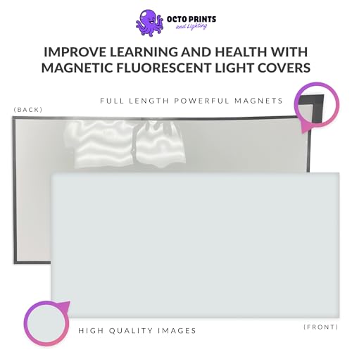 OCTO LIGHTS Magnetic Light Covers for Ceiling Lights Classroom Fluorescent Light Covers Solid Light Gray 2x4 Ceiling Light Cover for Classroom Lights, Office, and Medical Spaces (Pack of 1) - color: Light Gray