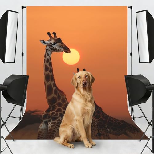 Giraffe at Sunset Backdrop Background for Photography 5x7ft Photobooth Professional Photo Backdrop Curtains Video Photography Studio Photo Backgrounds Banner Booth Background Screen Parties - color: Giraffe At Sunset