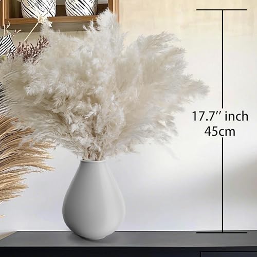 30PCS White Pampas Grass for Home Decor - Elegant Boho Decor - Premium Quality Pampas Grass Stems - Perfect for House, Nursery, Western, Wedding, Table, and Bohemian Decor - size: 30PCS-White