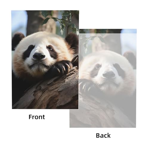 Cute Sleeping Panda Backdrop Background for Photography 5x7ft Photobooth Professional Photo Backdrop Curtains Video Photography Studio Photo Backgrounds Banner Booth Background Screen Parties - color: Cute Sleeping Panda
