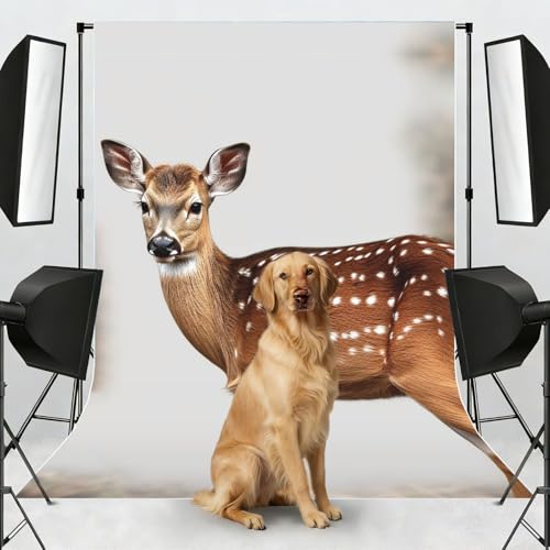 Spotted Deer Backdrop Background for Photography 5x7ft Photobooth Professional Photo Backdrop Curtains Video Photography Studio Photo Backgrounds Banner Booth Background Screen Parties - color: Spotted Deer
