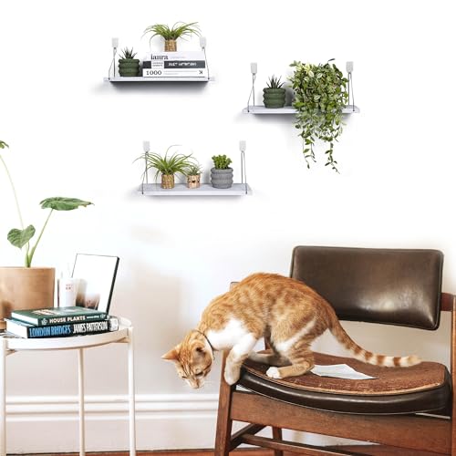Floating Shelves Set of 3 Rustic Solid Wood Floating Shelf Wall Storage Shelves for Living Room, Bedroom, Bathroom, Kitchen Laundry, Office,no Drill Shelf(Grey and White Colour L+L+L) - color: Grey and White Colour, size: L+L+L