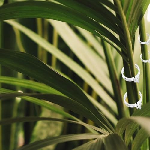 Secured Plastic Plant Clip, 2024 Upgraded Plant Support Clips Reusable Garden Clips 50Pcs, Plant Support Clips Garden Climbing Vines Fixing Clip Trellis Clips Climbing Tomato Clips (50, White) - color: White