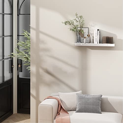 Danpoo Adhesive Floating Shelf for Wall Storage, Metal Wall Shelf for Bathroom/Living Room/Kitchen/Bedroom, Display Shelf for Collectibles(Silver, 16") - color: Silver, size: 16 IN