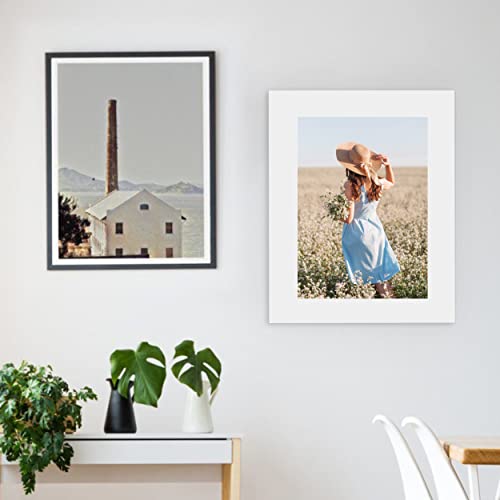 10 Pack 16x20 White Backing Boards, Uncut Mat Board 16x20, Acid Free Backerbords for 11x14 Photos, Pictures, Artwork and Paints - size: white 10pc backings 16x20