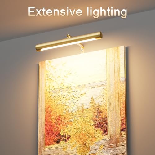 4W Picture Light Plug in, 12" Adjustable LED Art Light with Remote Control, Dimmable Wall Light for Picture Display Dartboard Art Work (Gold) - color: Gold, size: 12 inch