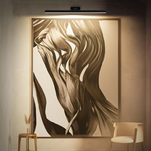 Afyuol Picture Lights for Wall, Battery Operated Picture Light 24in Gallery Light for Paintings CCT Dimmable Recharging Battery Wall Light with Remote Control for Living Room Gallery Dartboard - color: Black, size: 1PC24inches