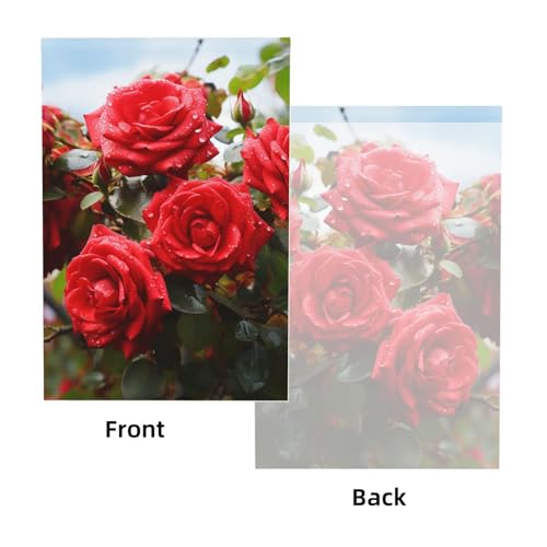 Red Roses Bush in The Garden Backdrop Background for Photography 5x7ft Photobooth Professional Photo Backdrop Curtains Video Photography Studio Photo Backgrounds Banner Booth Background Screen Parties - color: Red Roses Bush In The Garden