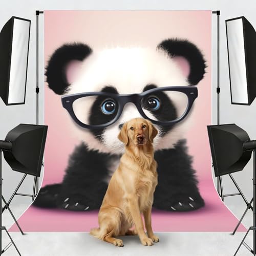 Baby Panda with Glasses Backdrop Background for Photography 5x7ft Photobooth Professional Photo Backdrop Curtains Video Photography Studio Photo Backgrounds Banner Booth Background Screen Parties - color: Baby Panda With Glasses