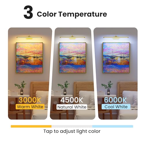 24" Picture Lights for Wall with 8000mAh Battery - Brass Operated Wireless Wall Art Light with Remote Control for Large Portrait & Paintings Art - color: Brass, size: 24 Inch