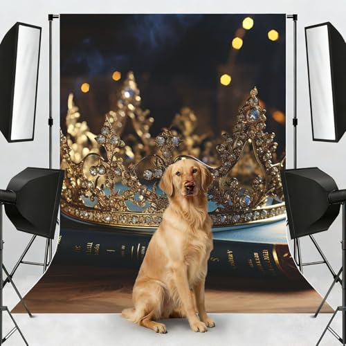 Crown Vintage Book Backdrop Background for Photography 5x7ft Photobooth Professional Photo Backdrop Curtains Video Photography Studio Photo Backgrounds Banner Booth Background Screen Parties - color: Crown Vintage Book