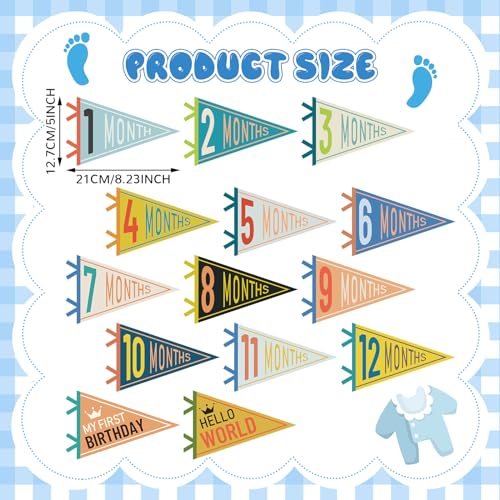VitalCozy 14 Pcs Baby Milestone Pennant Signs Monthly Milestone Banner Flags Pennant Triangle Banner Age Flag Signs for Boy Girl Newborn Birthday Party Decor(Mixed Colors) - color: Mixed Colors
