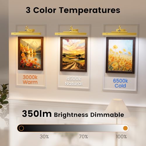 Corless Picture Lights 2 Pack, 4400mAh Battery Operated Wirelesss Wall Lights Sconce, 12" Dimmable Remote Timer for Painting Artwork Living Room (Gold) - color: Gold, size: 12IN-2pack