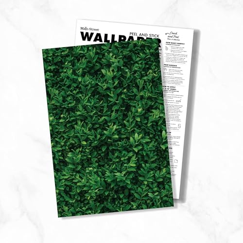 Main Street Peel and Stick Wallpaper Eco-Friendly Sheets 12 Pack, 11 X 16 Inch Plant Wall Design, Wall Mural for Home Decor, Removable Wall Decor Wallpaper Peel and Stick for DIY Projects - style: Plant Wall Design