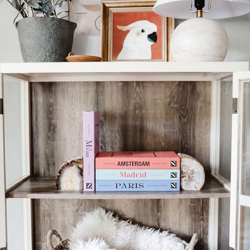 PROBENEX Pastel Medium | 4 PCS Faux Decorative Books for Home Decor | Not Real Books (Cardboard Boxes) | Coffee Table, Shelf Styling & Modern Aesthetic Accent Pieces for Living Room, Office - color: Pastel_medium