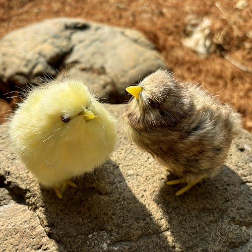 2 x Realistic Fluffy Baby Chickies Decor Set - Lifelike Spring Chickens & Fuzzball Easter Tabletop Decorations, Farmhouse Photo Props, Basket Fillers, Home Ornaments