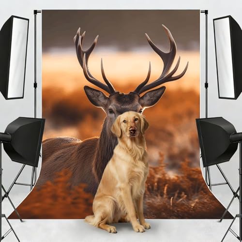 Antler Red Deer Backdrop Background for Photography 5x7ft Photobooth Professional Photo Backdrop Curtains Video Photography Studio Photo Backgrounds Banner Booth Background Screen Parties - color: Antler Red Deer