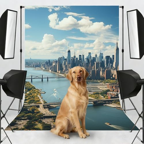 Penthouse Backdrop Background for Photography 5x7ft Photobooth Professional Photo Backdrop Curtains Video Photography Studio Photo Backgrounds Banner Booth Background Screen Parties - color: Penthouse View Over New York Manhattan