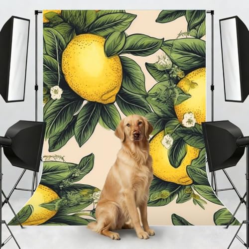 Lemon Backdrop Background for Photography 5x7ft Photobooth Professional Photo Backdrop Curtains Video Photography Studio Photo Backgrounds Banner Booth Background Screen Parties - color: Lemon