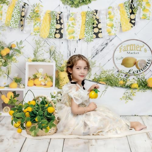 Kate White Wood Floor Mat Photography Floor Mat Newborn Photography Props Rubber Wooden Wall Flooring Backdrop for Professional Photographer 8x5ft - color: White Wood 2, size: 8x5ft