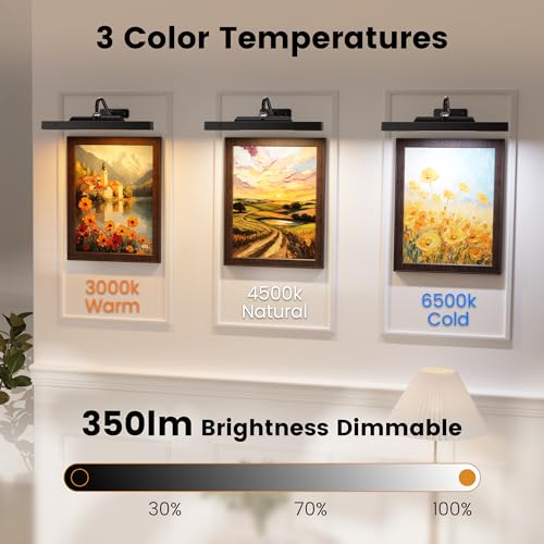 Art Frame Picture Light 4Pack, 12" Wireless Battery Operated Gallery Lighting, Remote Control Timer 3 Color Temps for Bedroom Museum (Black) - color: Black, size: 12in-4pack