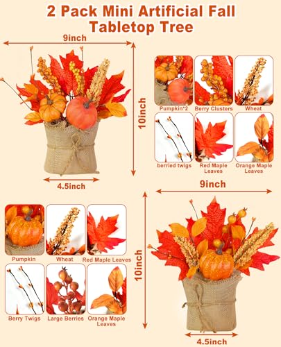 2 Styles Thanksgiving Decorations - 2 Pack 10 Inch Fall Decorations Tabletop Fall Tree Thanksgiving Table Centerpieces Maple Tree with Pumpkin Leafed Berry Wheat Thanksgivings Centerpieces for Tables