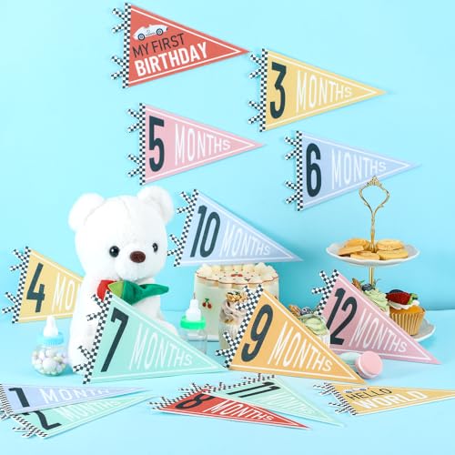 VitalCozy 14 Pcs Baby Milestone Pennant Signs Monthly Milestone Banner Flags Pennant Triangle Banner Age Flag Signs for Boy Girl Newborn Birthday Party Decor (Car) - color: Car