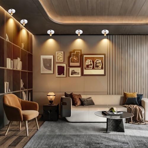Rechargeable Spotlight, Battery Operated Picture Lights with Remote, Cordless Plant Spot Light Indoor, LED Accent Lighting, Dimmable Uplight for Tree Painting Artwork Photo Dartboard Decor - color: chargeable White+G
