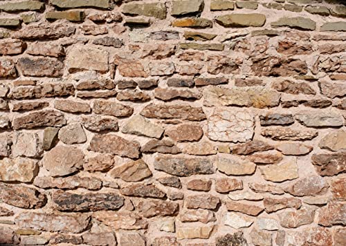 BELECO 12x10ft Fabric Vintage Brick Stone Wall Backdrop for Photography Ancient Rock Wall Textured Brick Stone Background Wallpaper Stone Wall Birthday Party Decorations Studio Booth Photo Props - size: 12x10FT