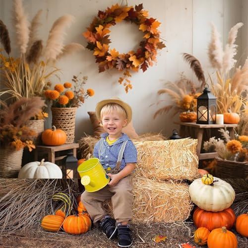 10x10ft Fall Backdrops for Photography Autumn Leaves Wreath Pumpkins Fall Photo Backdrop Background Festival Thanksgiving Birthday Decorations Baby Shower Portrait Photoshoot Video Studio Photo Props - color: Multi, size: 10x10ft