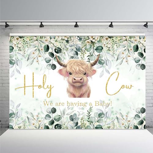 MEHOFOND 7x5ft Holy Cow Baby Shower Backdrop for Boy We are Having A Baby Greenery Baby Shower Party Decorations Banner White Floral Watercolor Eucalyptus Photography Background Photo Booth Props - color: Green, size: 7x5ft