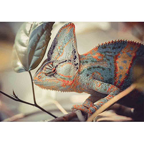 wall26 - Yemen Chameleon - Removable Wall Mural | Self-Adhesive Large Wallpaper - 66x96 inches - color: Artwork - 03, size: 66"x96"