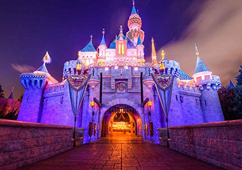 10x7Ft Fantasy Castle Night Scene Backdrop for Children Birthday Party Photo Video Studio Props LSME372 - size: 10x7Ft