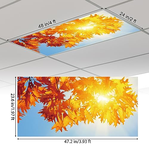Outus Fluorescent Light Cover Classroom Lighting Cover with 10 Magnets Light Filter Magnetic Ceiling Panel Decoration 2 x 4 ft (23.62 x 47.24 In) Reduce Glare for Office School(4,Maple Leaf) - style: Maple Leaf