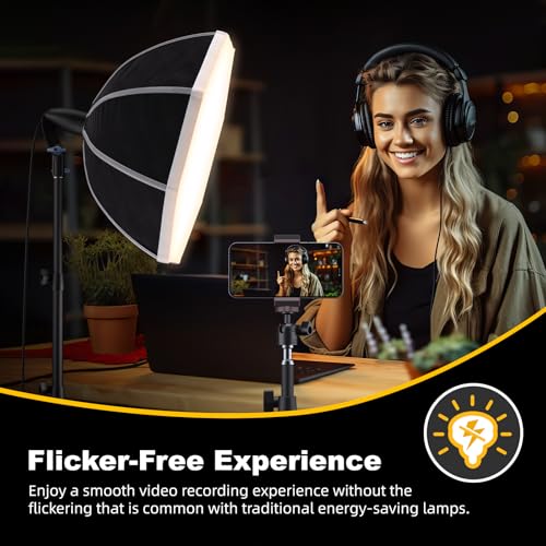 LINCO Lincostore Softbox Photography Lighting Kit with Professional 85W LED Bulbs, Studio Lights for Photography/Video Recording/Live Streaming (20" Octagonal Softbox Lighting Kit) - size: 20" Octagonal Softbox Lighting Kit