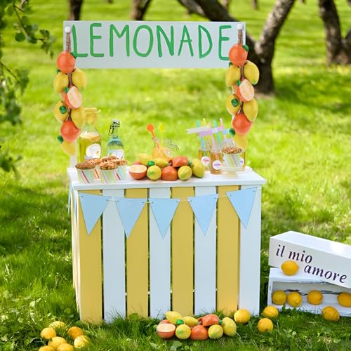 Woration Hanging Artificial Fuax Yellow Lemon & Orange Fake Cute Fruits Ceramics Decoration String Garland Home Kitchen Farmhouse Porch Photography Props 1Pack - color: Ceramic Lomen & Orange
