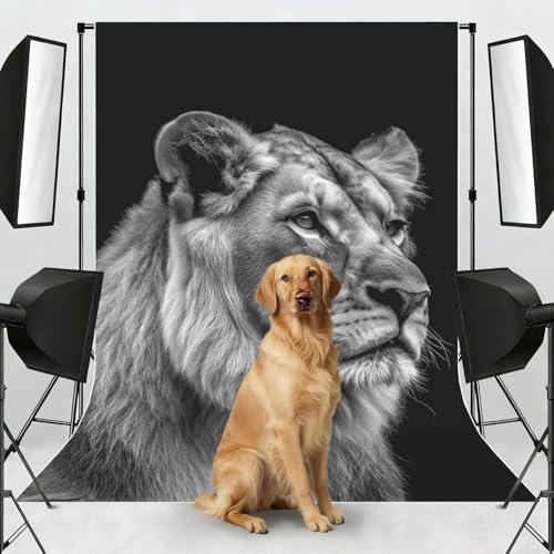 Gray Lion Backdrop Background for Photography 5x7ft Photobooth Professional Photo Backdrop Curtains Video Photography Studio Photo Backgrounds Banner Booth Background Screen Parties - color: Gray Lion