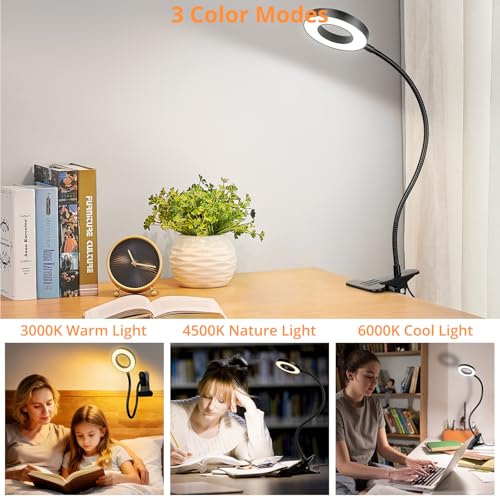 Woputne Desk Lamp Clip Light, 10 Dimmable Brightness 3 Light Modes Reading Light, Clamp Bedside Lamp for Painting, Craft, Study (Black) - color: Black, size: Not Included Adapter