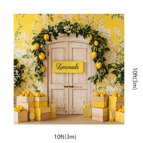 Kate 10x10ft Fresh Lemon Shop Backdrops for Photography Retro Wood Door Lemonade Party Background Baby Gilrs Portrait Photo Studio Backdrop - size: 10x10ft