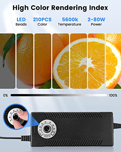 32"x32" Photo Studio Light Box Photography, Large Lightbox for Product with 3 Stepless Dimming Lights Panel, 210 LED Beads, Professional Photo Booth Shooting Tent Kit with 6 Color Backdrops - color: Black-32inch Studio Box
