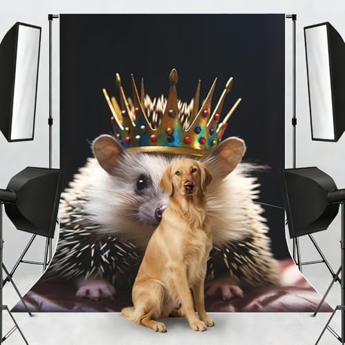 Crown with Hedgehog Backdrop Background for Photography 5x7ft Photobooth Professional Photo Backdrop Curtains Video Photography Studio Photo Backgrounds Banner Booth Background Screen Parties - color: Crown With Hedgehog