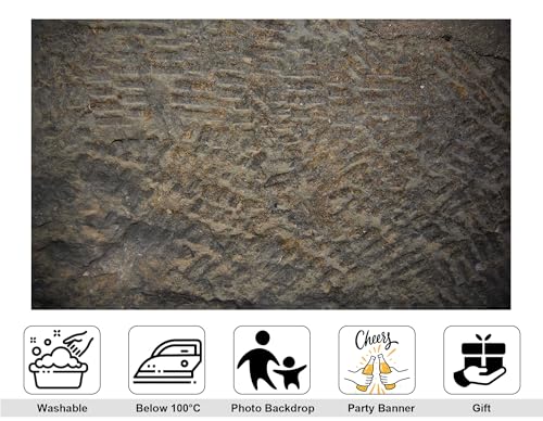 4x4ft Ancient Rock Backdrop Rough Carved Stone Surface Gray Texture Photography Background for Vintage Halloween Rustic Event Decorations Tapestry Banner Photo Booth Props - size: 4x4ft