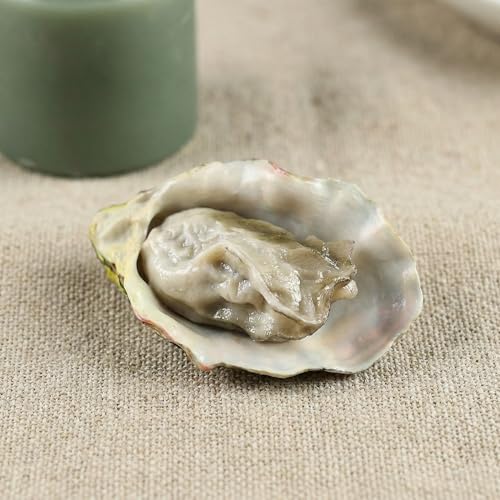 Toyvian 4pcs Artificial Oysters, Fake Shellfish Seafood Model Scallop Food Photography Prop Food Sample Display for Home Kitchen Party Decoration B