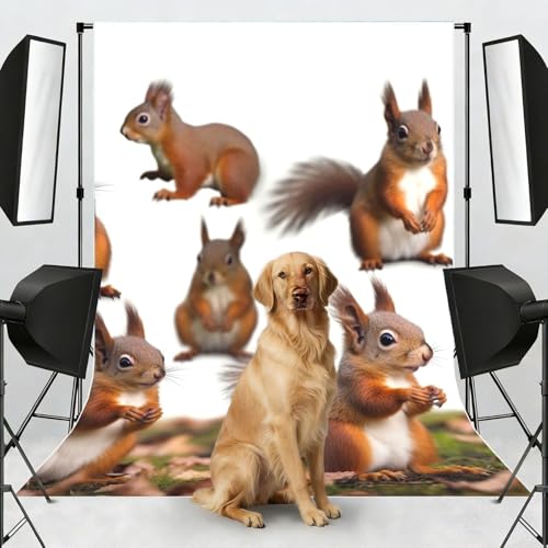Cute Squirrels Backdrop Background for Photography 5x7ft Photobooth Professional Photo Backdrop Curtains Video Photography Studio Photo Backgrounds Banner Booth Background Screen Parties - color: Cute Squirrels