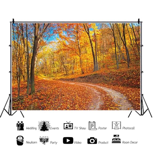 5x4ft Fall Backdrop Autumn Scenery Mountain Road Photography Background Tree and Yellow Fall Leaves View Natural Landscape Decorations Portraits Photo Studio Props - color: Blue, size: 5x4ft
