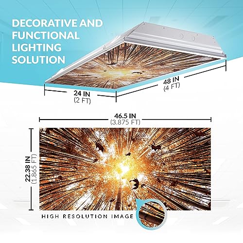 Octo Lights Tree Fluorescent Light Covers 2x4 Fixtures (22.38" x 46.5") Ceiling Light Cover for Classroom and Office, Decorative Light Covers for Ceiling Lights, Office Light Covers - (Pack of 1) - color: Autumn Bamboo, size: 1pk