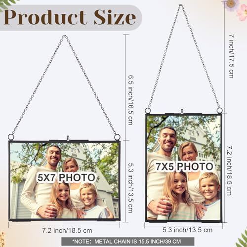 Treela 6 Pcs Pressed Flower Glass Picture Frames 5 x 7 Inch Black Herbarium Botanical Brass Hanging Double Glass Floating Photo Frame Clear Horizontal Vertical Frames with Chain for Gallery Vintage - color: Black, size: 5 x 7 Inch