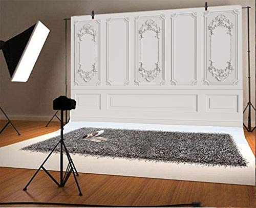 Leyiyi 12x8ft Vinyl Vintage Room Inside Backdrop European Frame Modern House French Castle Cementery Wall Retro Style Photo Background Cowboy Kids Birthday Portrait Studio Prop - color: White, size: 12x8ft