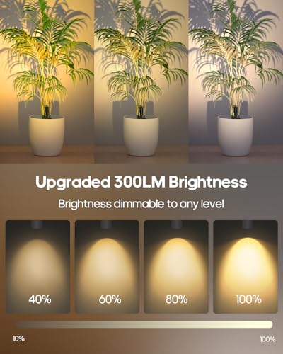GOODEA Spotlights Indoor with Remote, 3000mAh Rechargeable Battery Plant Spotlight Indoor, Wireless Uplights with 3 Colors & Dimmable, Picture Light for Painting, Accent Lighting(2 Pack, White) - color: White